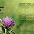 Изготовление, дизайн, печать листовок